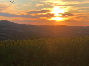 Casale Del Monte, Pesaro