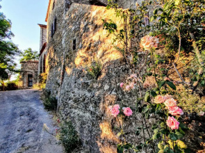 Historic 14th Century Palazzo apartments
