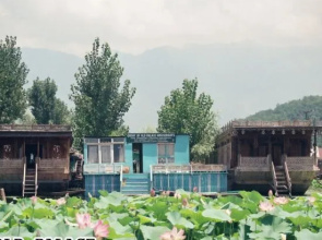 Houseboat Old Palace