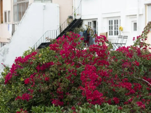 Flores Apartment