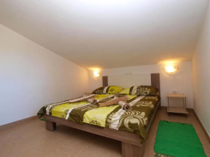 Apartments Dario 1480