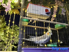 Floral Hotel·Suyu Jianju homestay (Hongmen Dengkou Store in Mount Taishan Scenic Area)