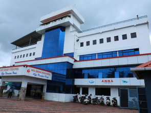 Treebo Trend The Horizon