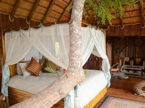 Pezulu Tree House Lodge