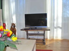 Spacious Apartment With Garden in Boisendorf