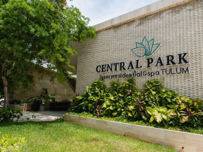 Modern studio spa & gym at Central Park Tulum