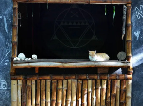 Dreamsea Glamping