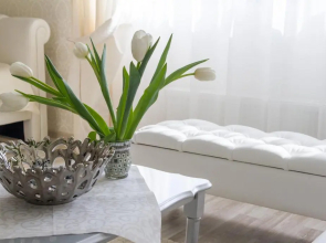 Juozapaviciaus apartments