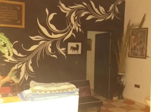 Apartment Surf