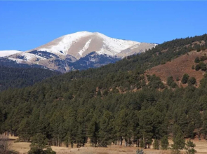 Alto Oso, 3 Bedrooms, Lush Forest View, Deck, Spa, Hot Tub, Sleeps 6