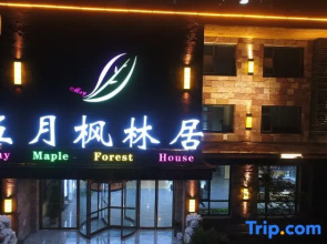 May Maple Forest House Hotel