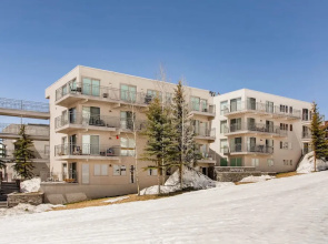 Updated 1 Br - Ski-in/ski-out Access 1 Bedroom Condo - No Cleaning Fee! by RedAwning