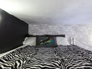 Artist Experience Venice Beach Studio Bedroom 1 Bathroom Apts