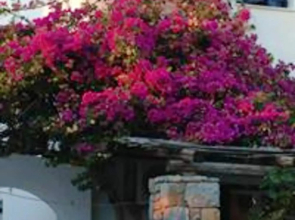 Studio in Aliki, With Wonderful sea View, Furnished Terrace and Wifi