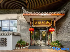 Anjing Old Tree Courtyard (Emeishan Scenic Area)