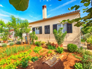 Apartment Padulj 1365