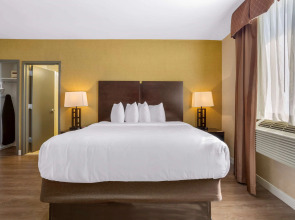 Best Western Plus Plaza Hotel