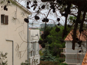 Apartment for six Persons With Three Bedrooms and Internet