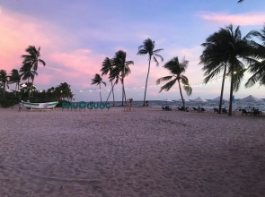 Kalia 4 Rooms Apartment Phu Quoc