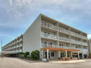 Collins Avenue 100 #309