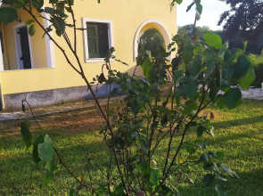 Nektar Apartments