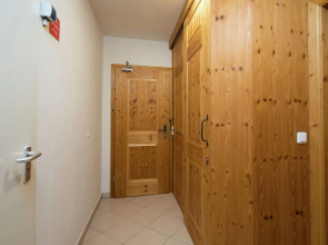 Fantastic Apartment in Saalbach Hinterglemm near Ski Area