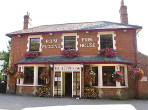 Plum Pudding