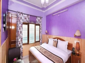 Hotel Mount View Shimla