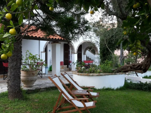 Gina Studio