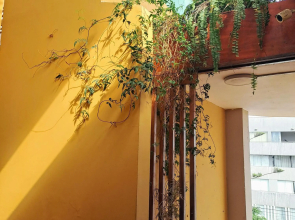 luxury Andino Ciudad real & 1 bed