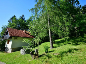 Sweet Stay Forest House
