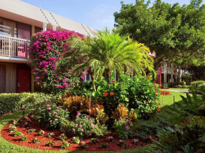 Collins Hotel Naples