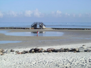 Steiner Strandappartements Appartement 202 Seeseite