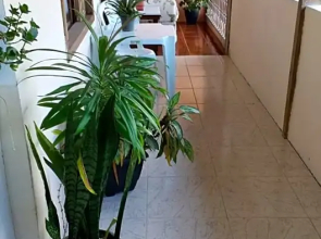 Casa de Maria