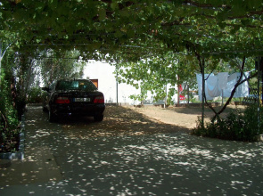 Ruža - Peaceful Area & Parking - SA2