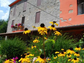 Agriturismo La Limonaia