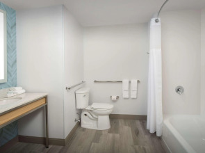 Hilton Garden Inn Orlando Downtown