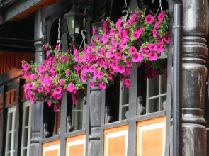 Sølvgarden Cottages