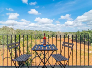 Traditional house Casa Binitaref with pool in Sineu