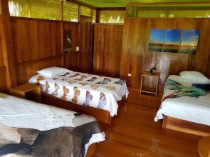 Amazon Lodge Adventures