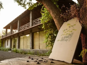 Bamboo Grove Lodge