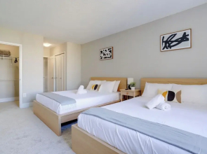 Crystal City Modern Apt w Gym