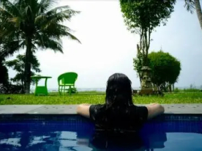 The Lily Pad