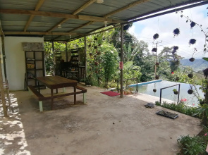 Happy Garden