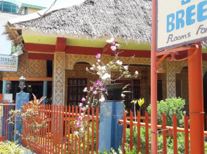 Bohol Sea Breeze Cottages & Resort