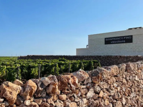 Gianfranco Fino Viticoltore