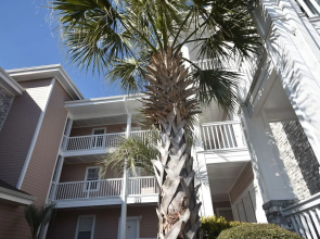 4737 Wild Iris Drive Magnolia Place 2 Bedroom Condo by RedAwning