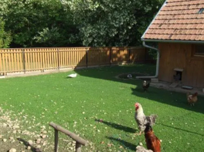 Ezerjó Ökofogadó
