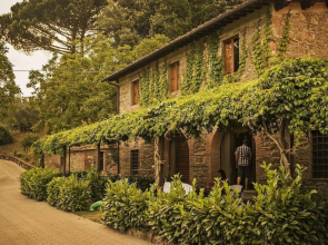 Norcenni Girasole Club