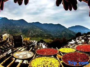 Shenhuangyuan Hostel